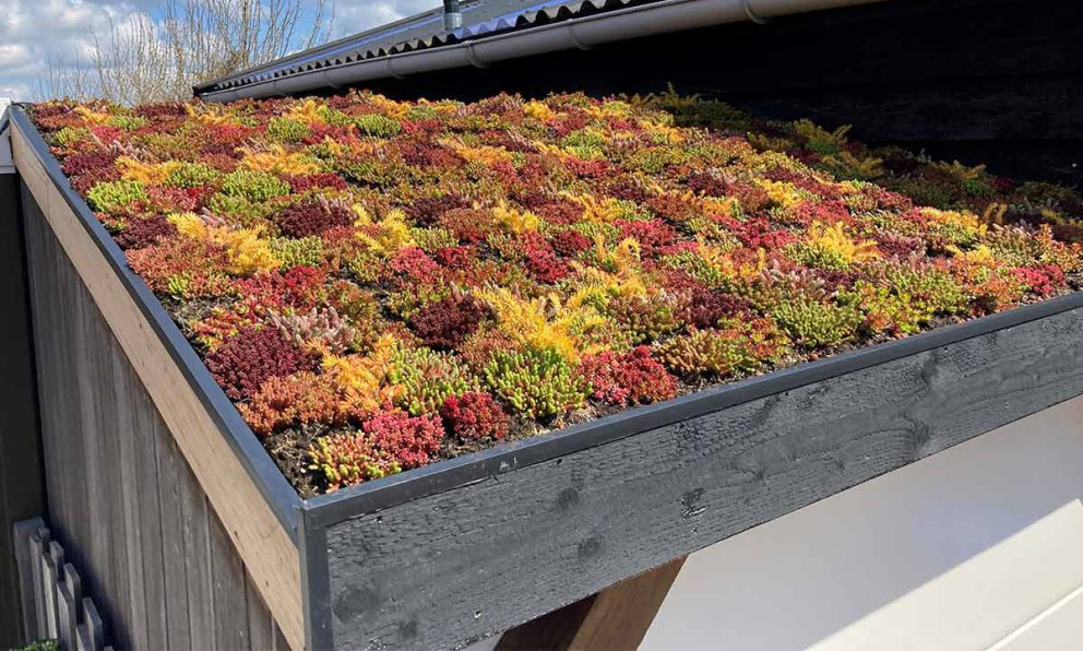 Végétalisation toiture