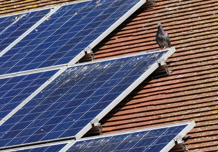 Toiture entretenue avec panneaux solaires