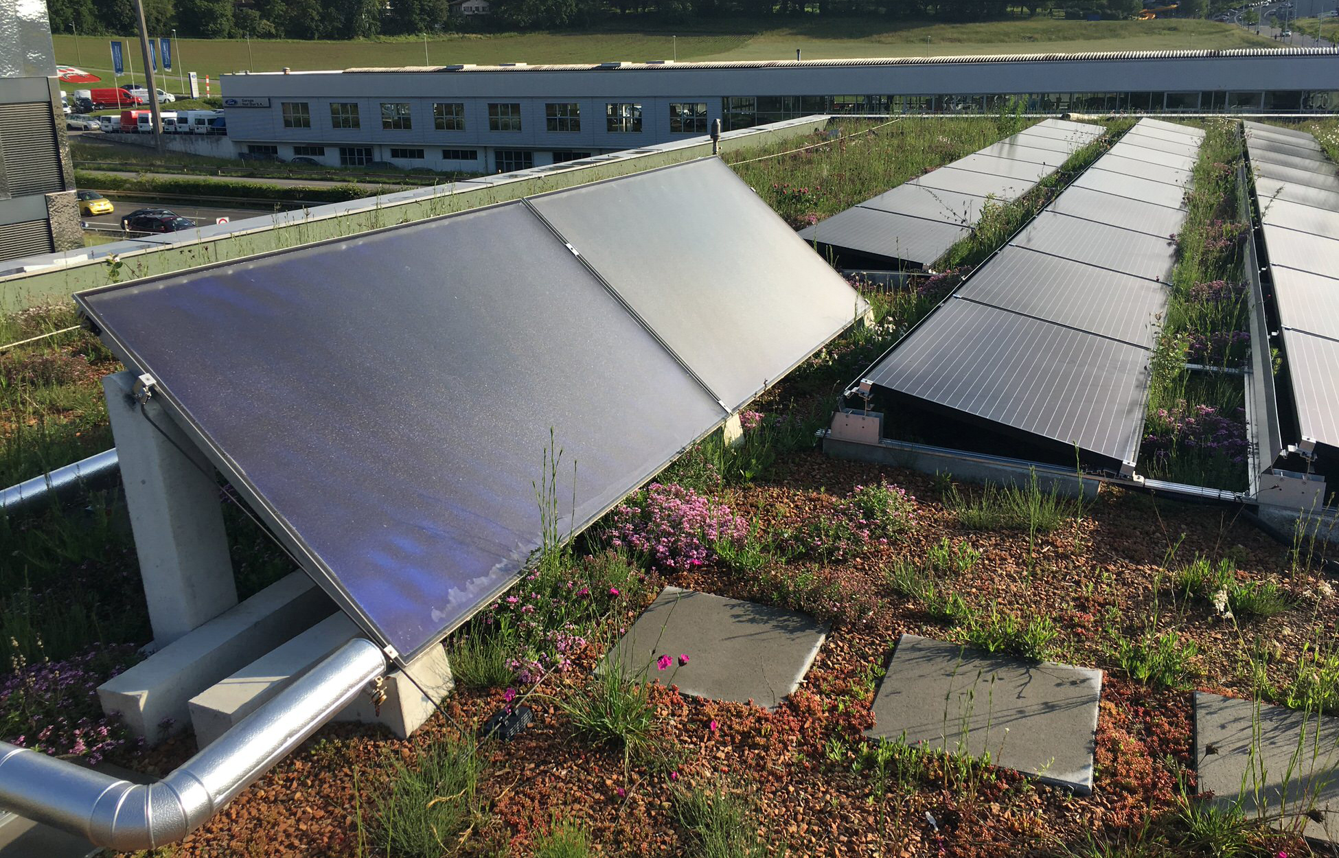 Toiture végétalisée associée à des panneaux solaires